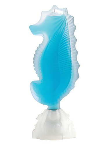 Frasco de Seahorse — Seajewels