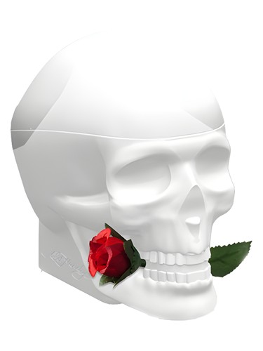 Frasco de Ed Hardy Skulls & Roses for Her — Christian Audigier