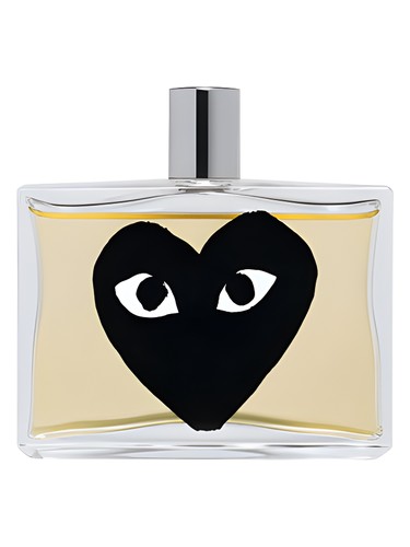 Frasco de Black — Comme des Garcons