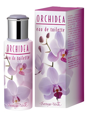 Frasco de Orchidea, de Bottega Verde