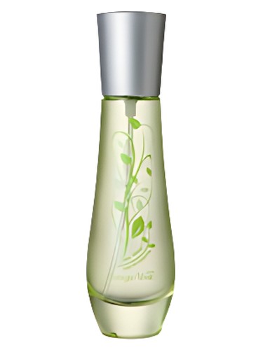Frasco de The Verde, de Bottega Verde
