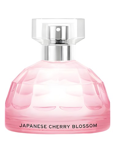 Frasco de Japanese Cherry Blossom — The Body Shop