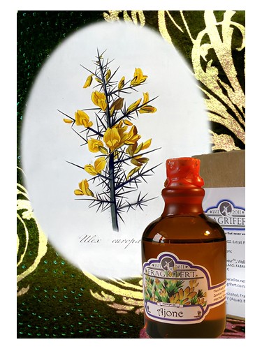 Frasco de Ajonc, de Fragrifert Parfumeur