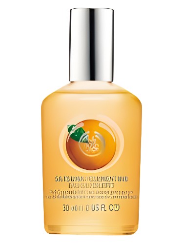 Frasco de Satsuma — The Body Shop