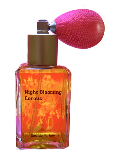 Frasco de Night Blooming Cereus, de Paragon Perfumes