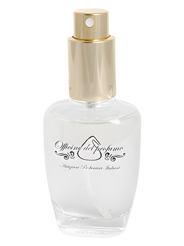 Frasco de Musk, de Officine del Profumo