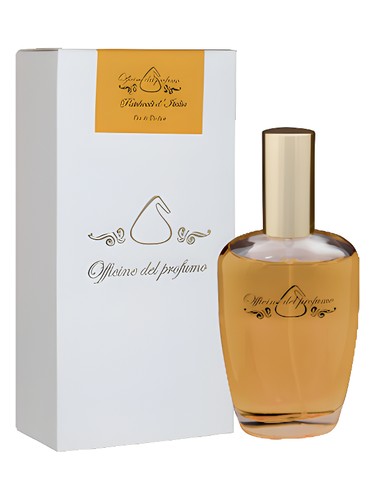 Frasco de Patchouli d'Italia, de Officine del Profumo