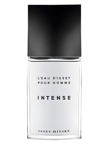 Frasco de L'Eau d'Issey Pour Homme Intense — Issey Miyake