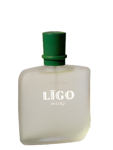Frasco de Līgo Svētku (Ligo Holiday) — Dzintars