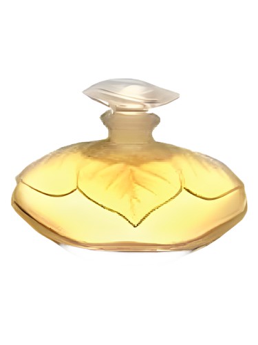 Frasco de Elle, de Lancetti