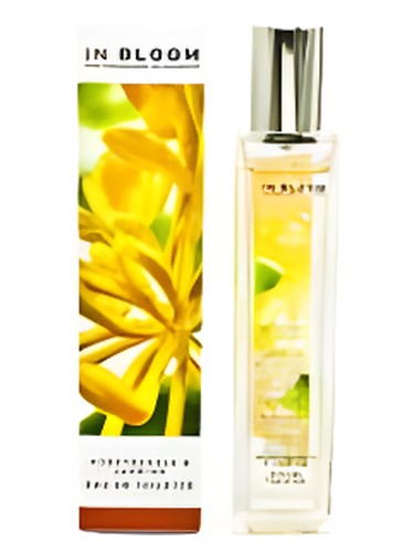Frasco de Jasmine and Honeysuckle, de Marks & Spencer