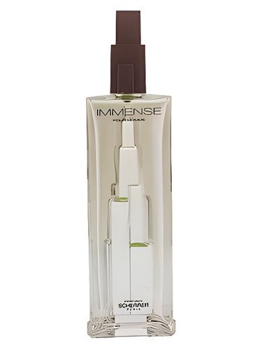 Frasco de Immense Pour Homme, de Jean-Louis Scherrer