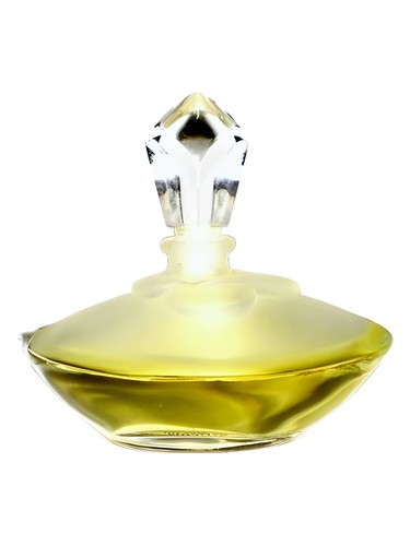 Frasco de Gardenia, de Tan Giudicelli