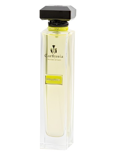Frasco de Acqua di Carthusia Bergamoto, de Carthusia