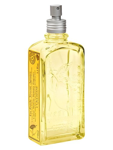Frasco de Citrus Verbena Summer — L'Occitane en Provence