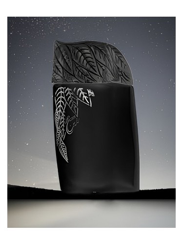 Frasco de Razeen Midnight, de Junaid Perfumes