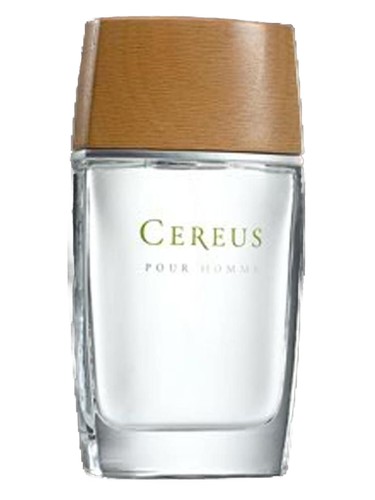 Frasco de Cereus No.4, de Cereus