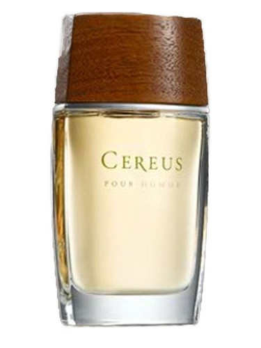 Frasco de Cereus No.7, de Cereus