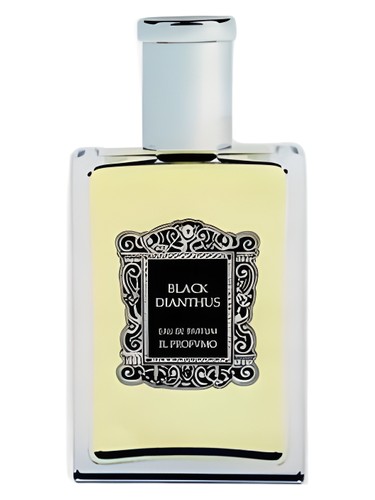 Frasco de Black Dianthus, de Il Profvmo
