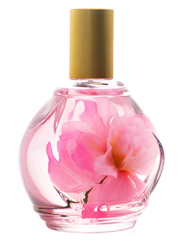 Frasco de Parfum d'Ambiance Rose, de Guy Bouchara