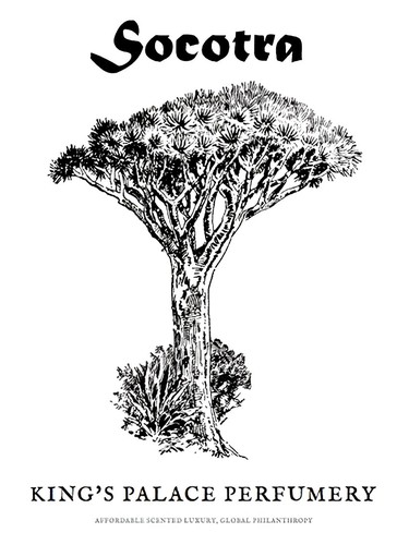 Frasco de Socotra, de King's Palace Perfumery