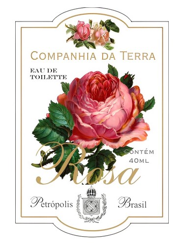 Frasco de Rosa, de Companhia da Terra