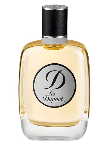Frasco de So Dupont Pour Homme, de S.T. Dupont