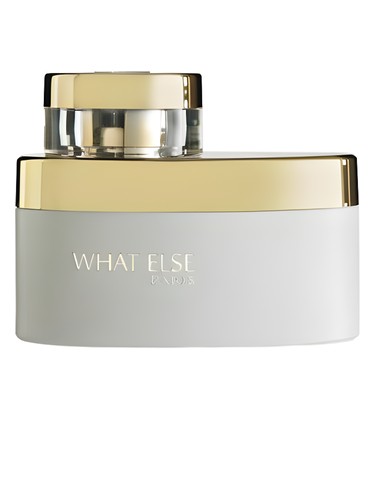 Frasco de What Else Women, de A.P. Durand Parfums