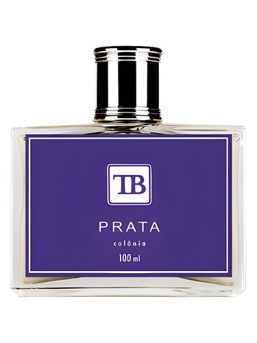 Frasco de Prata Contemporaneo — Tania Bulhões