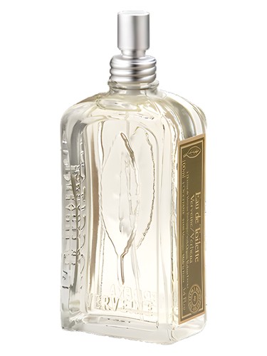 Frasco de Verveine — L'Occitane en Provence