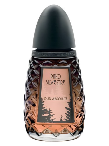 Frasco de Oud Absolute, de Pino Silvestre