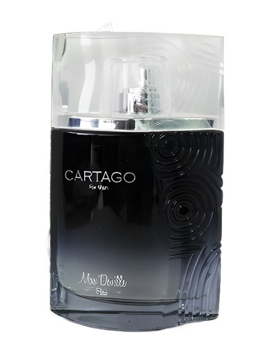 Frasco de Cartago Sport, de Max Deville
