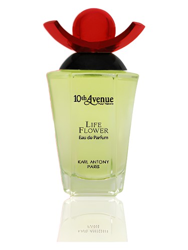 Frasco de Life Flower, de 10th Avenue Karl Antony
