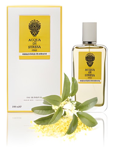 Frasco de Osmanthus Fragrans, de Acqua di Stresa