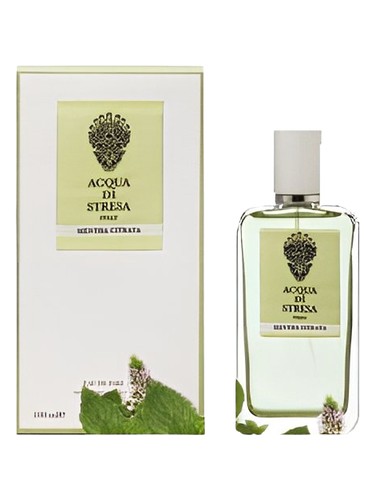 Frasco de Mentha Citrata, de Acqua di Stresa