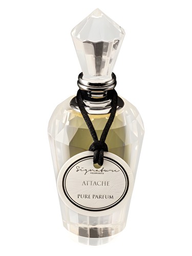 Frasco de Attache, de Signature Fragrances