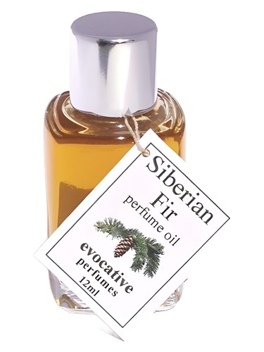 Frasco de Siberian Fir — Evocative Perfumes
