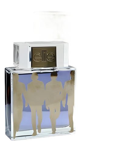 Frasco de Elite Silver Limited Edition for Him, de Parfums Elite