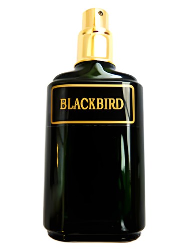 Frasco de Blackbird — Meshaz Natural Perfumes