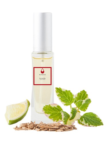 Frasco de Invincible, de FL Parfums