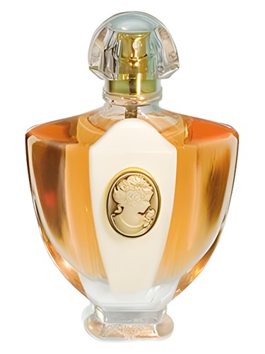 Frasco de L'Eau Classique Pour La Jour — Brocard