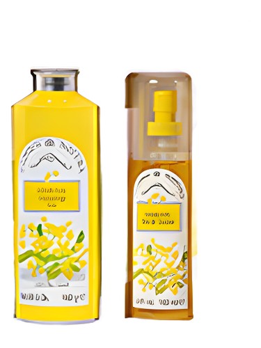 Frasco de Mimosa, de Cliven
