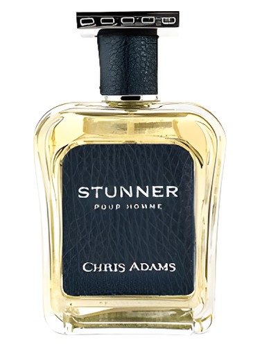 Frasco de Stunner Pour Homme, de Chris Adams