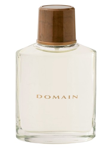 Frasco de Domain, de Mary Kay
