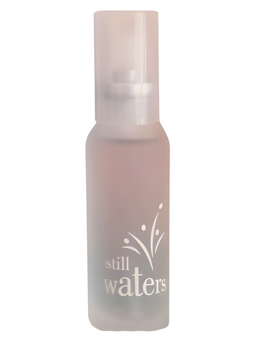 Frasco de Still Waters — Avon