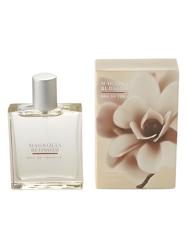 Frasco de Magnolia Blossom — Bath & Body Works
