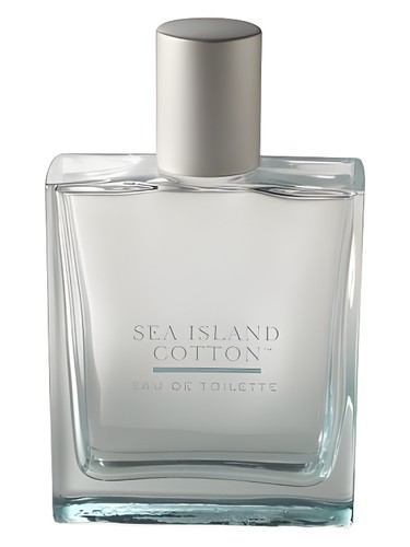 Frasco de Sea Island Cotton — Bath & Body Works