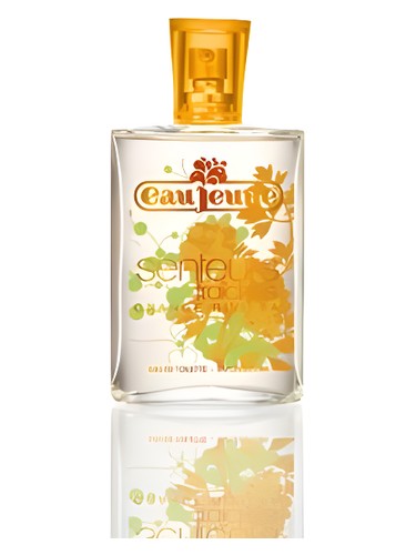 Frasco de Orange Riviera, de Eau Jeune