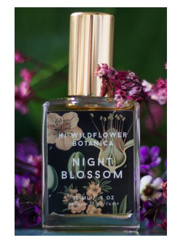 Frasco de Night Blossom — Hi Wildflower Botanica