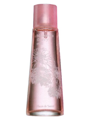 Frasco de Natures Winter Flurry, de Fleur de Sante